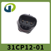 31CP12-01