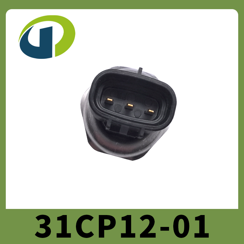 31CP12-01