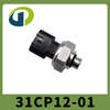 31CP12-01
