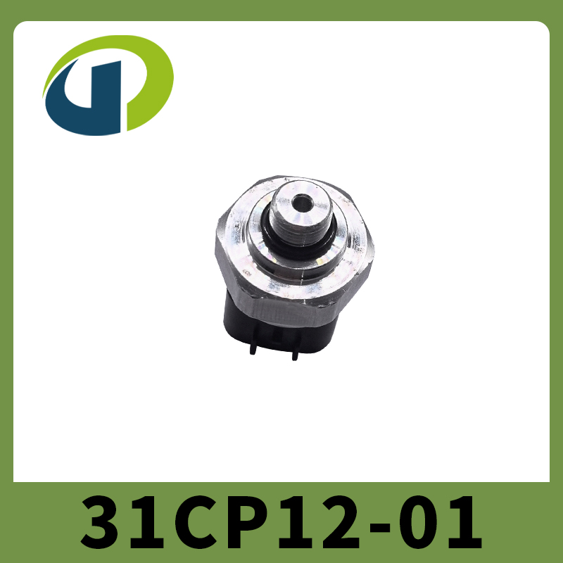 31CP12-01
